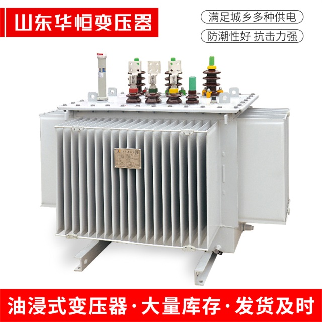 S13-10000/35宜章宜章宜章电力变压器